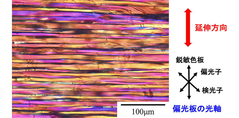ポリカーボネートを室温で5MPaの二酸化炭素下で延伸して得られた層状の空孔構造の偏光顕微鏡写真 （延伸倍率0.18)