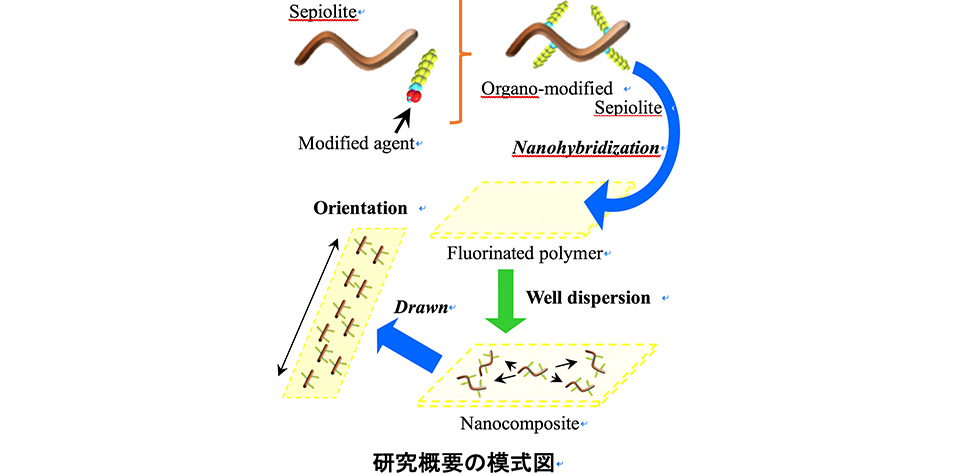 研究概要の模式図