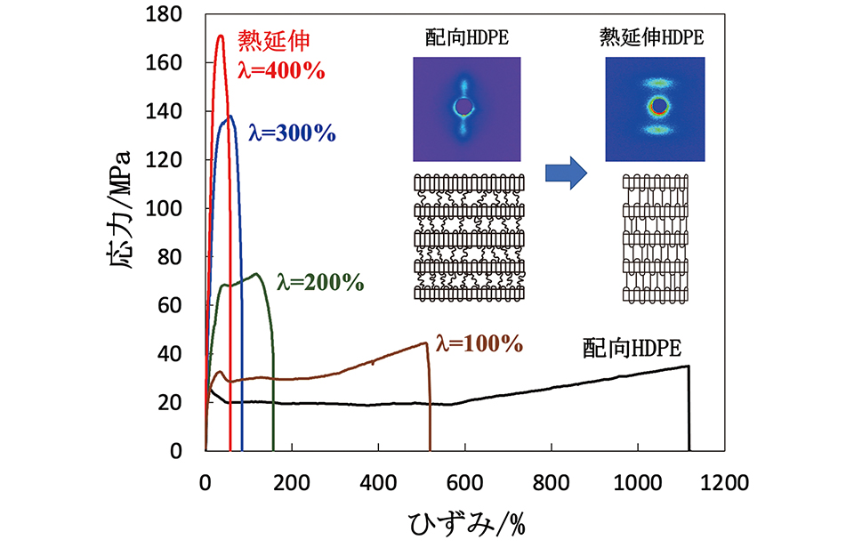 配向HDPEの熱延伸による力学特性と構造の変化